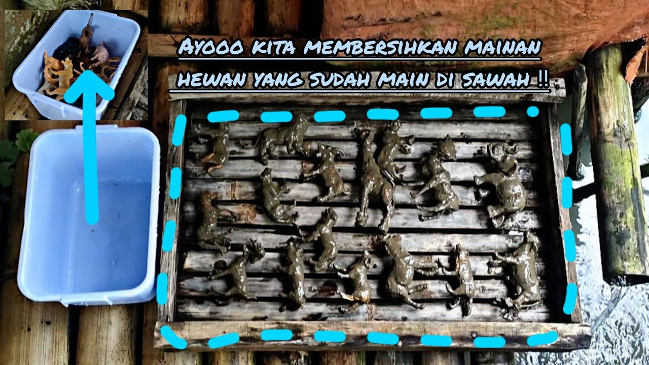 AYOOO KITA MEMBERSIHKAN MAINAN HEWAN YANG SUDAH MAIN DI SAWAH‼️