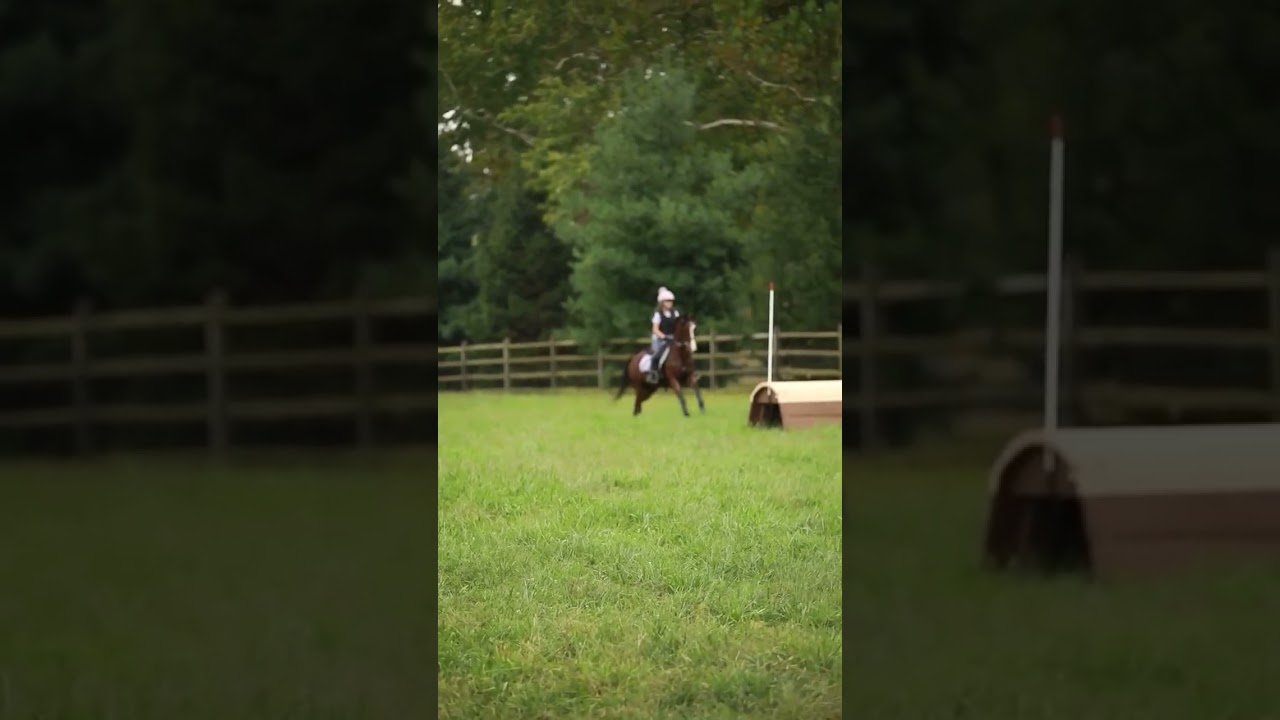 #eventer #youngrider #11yrsold #ponies #usea