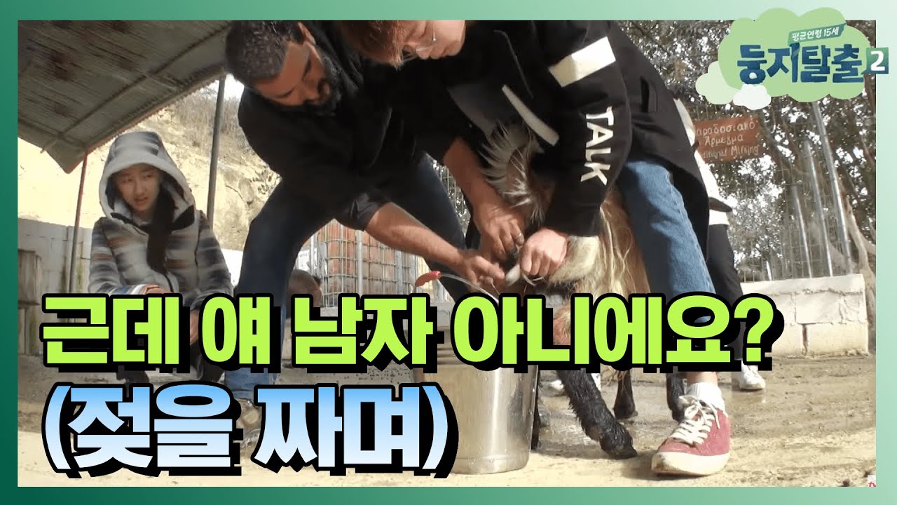 [#둥지탈출2] 아이고 선호야 ㅋㅋㅋ쿠ㅜㅜ 뿔🐮 달리고 수염🐐 달렸다고 다 수컷이 아니야 180116 EP7 #04