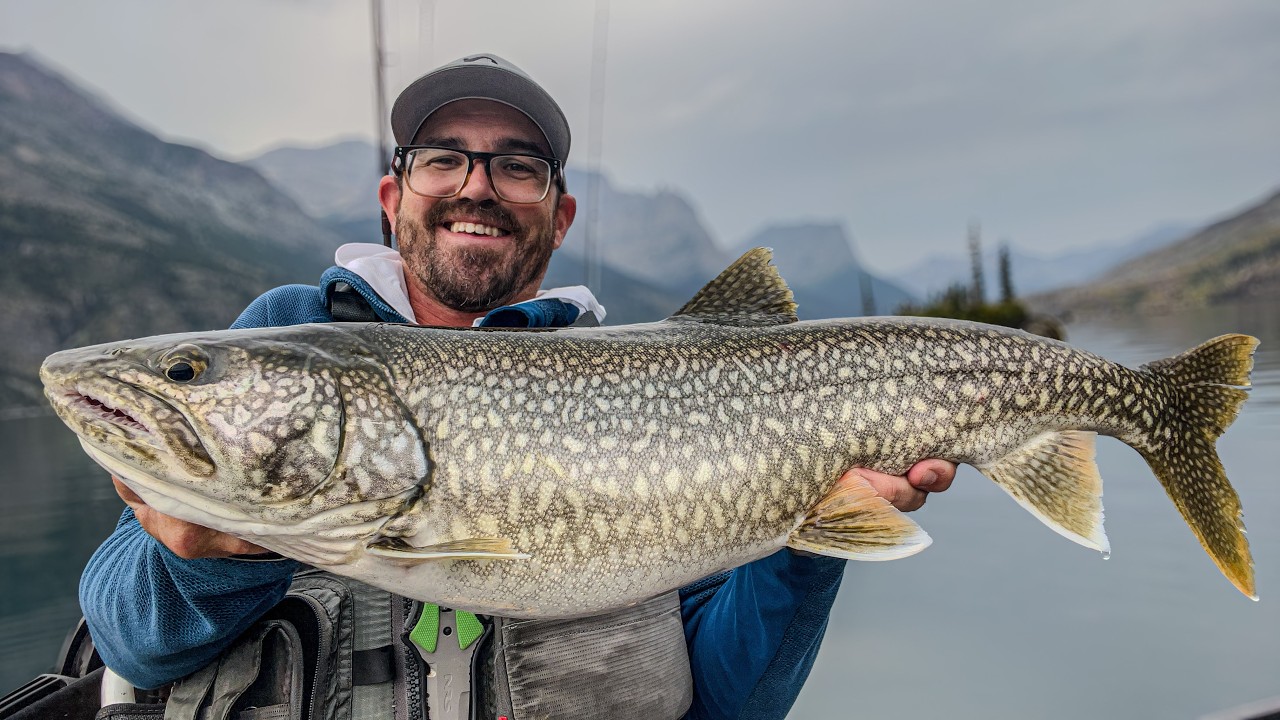 Montana's Giant Lake Trout