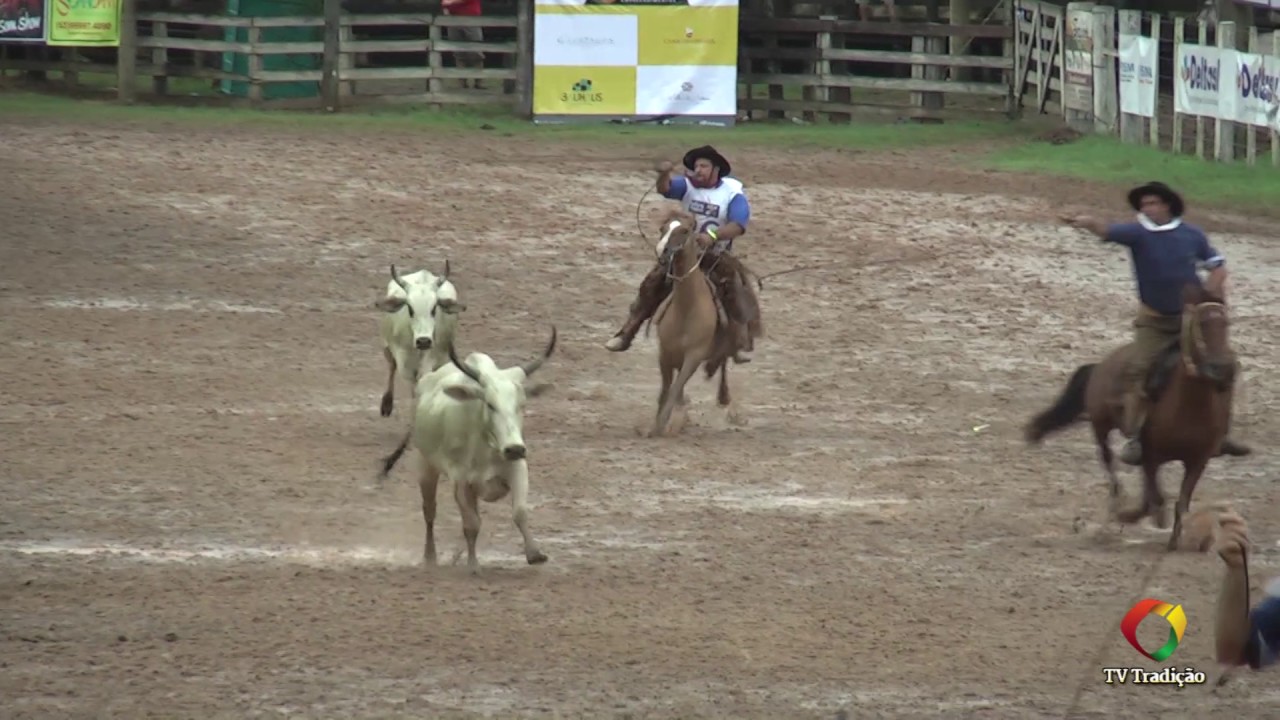 23º Rodeio Internacional do Conesul - Laço Equipe (1ª volta)