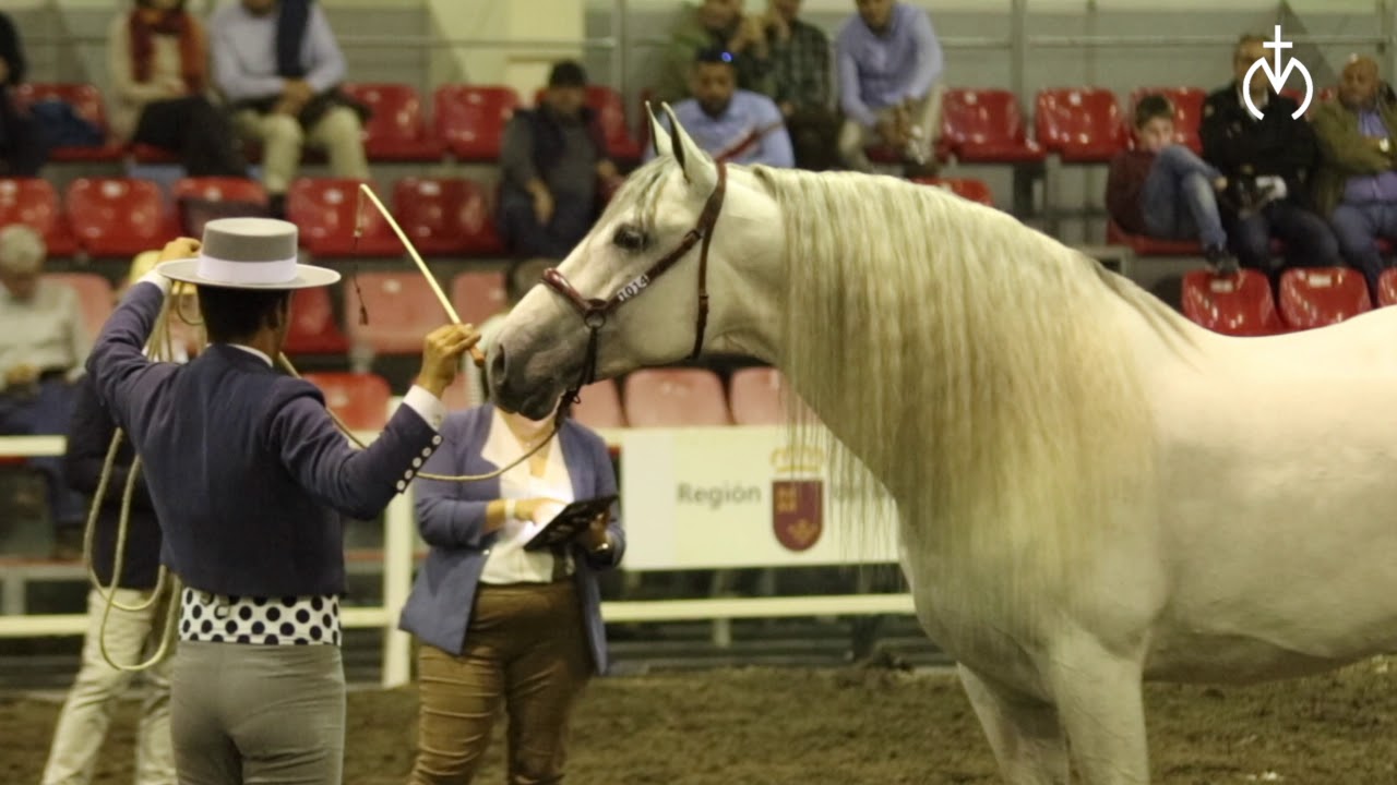 LAS MORERIAS, MEJOR GANADERIA EQUIMUR 2019