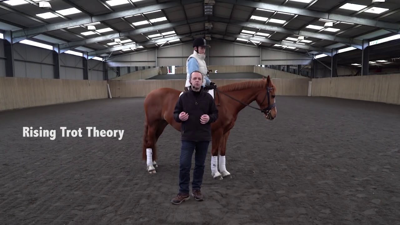 Dressage Training - Rising to Trot,  Posting to Trot
