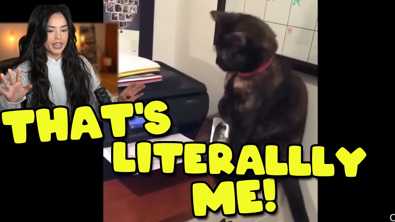 Valkyrae reacts to DAILY DOSE OF INTERNET