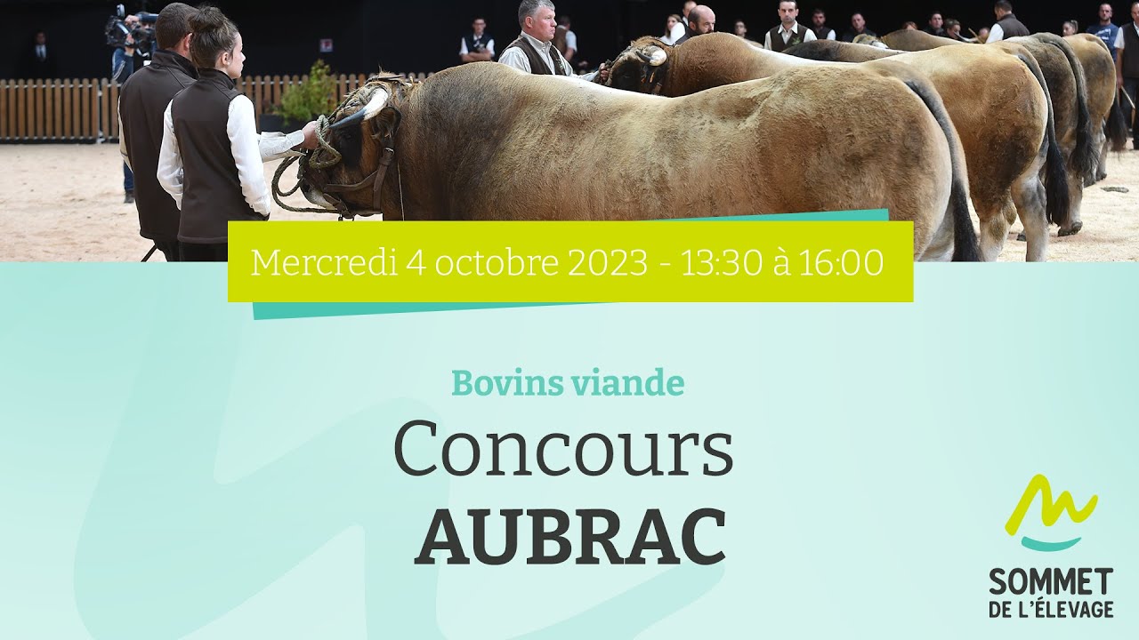Sommet de l'élevage 2023 - Concours AUBRAC - 04/10/2023