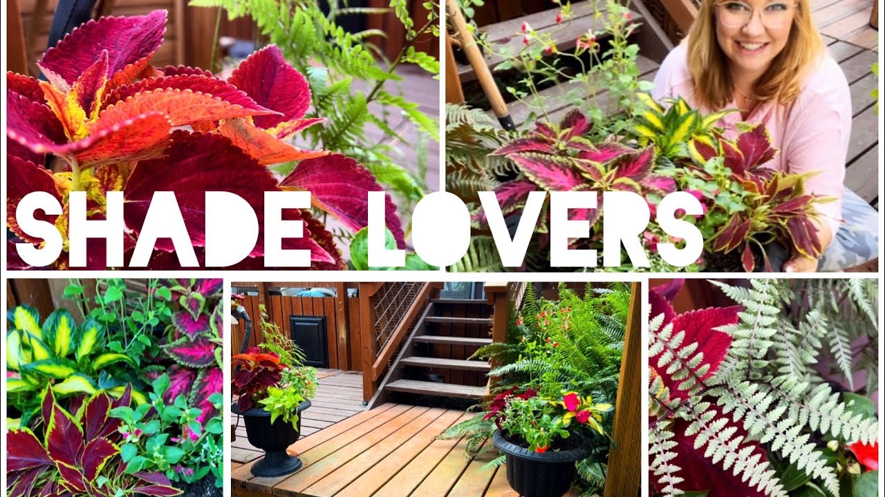 * DIY SHADE / PART SUN PLANTER&rsquo;S - How To Choose Plants That Go Together*
