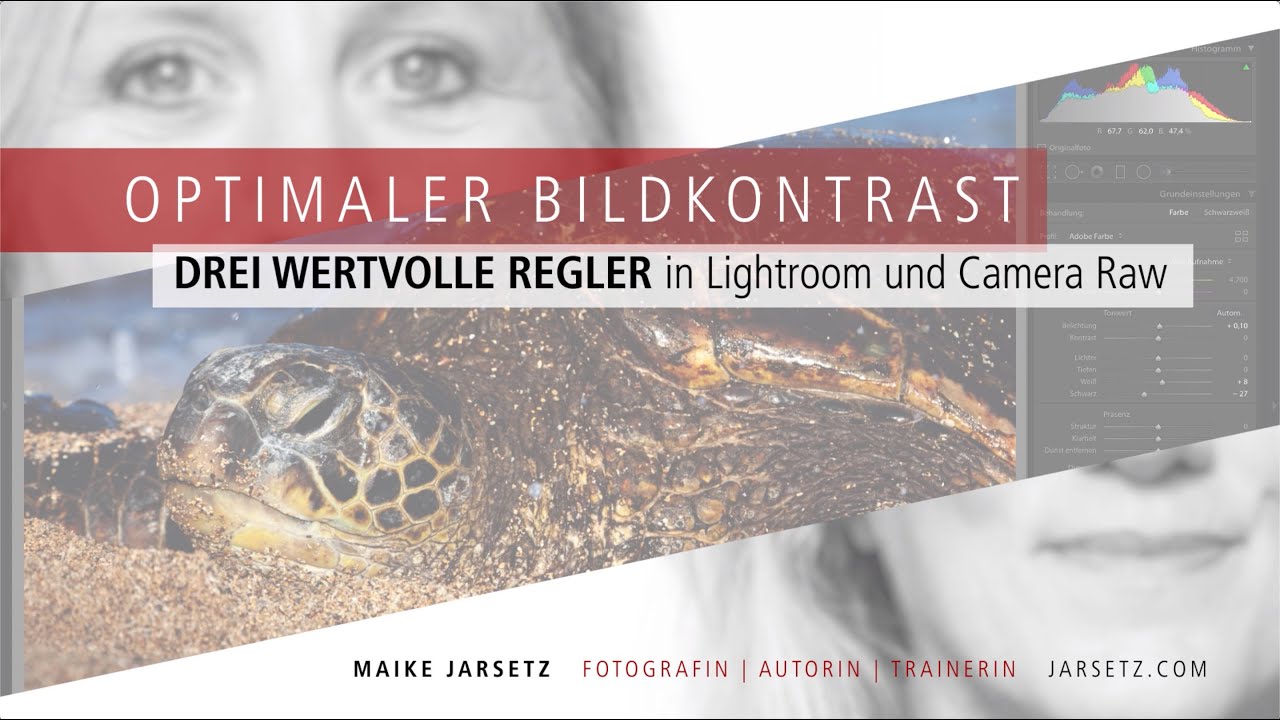 Der optimale Bildkontrast