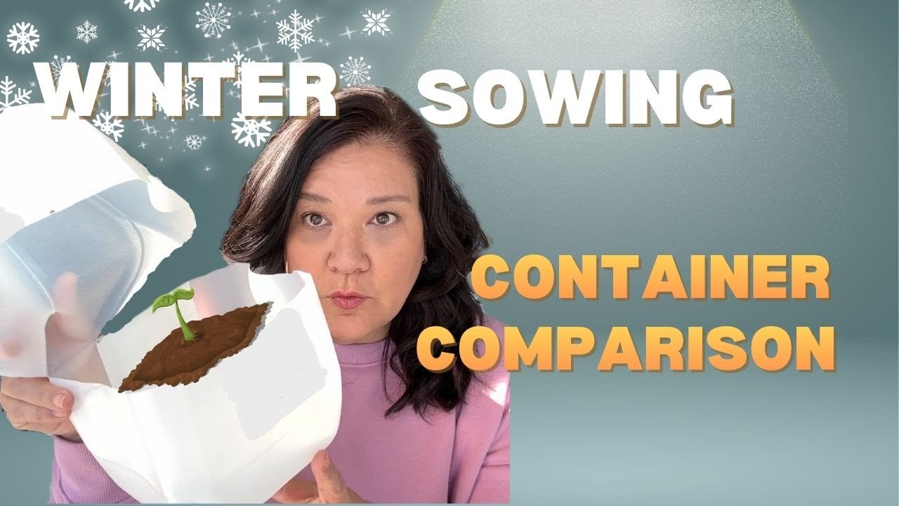 Comparing 4 Popular Winter Sowing Containers with Results!