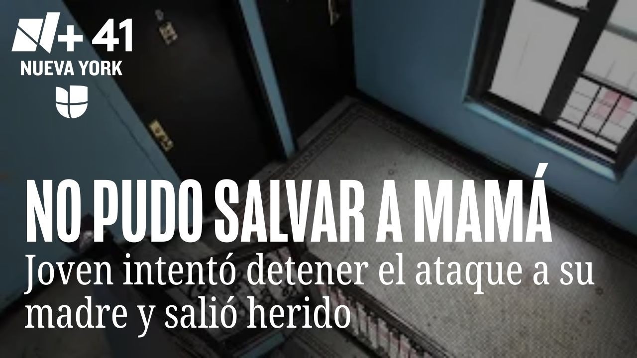 Hijo de mujer apuñalada hasta la muerte en El Bronx intentó salvarla