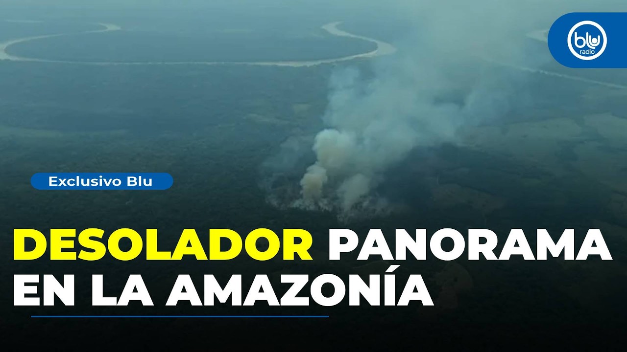 “Ya no hay más dónde deforestar”: la Amazonía pierde bosque tras años de tala y expansión ganadera
