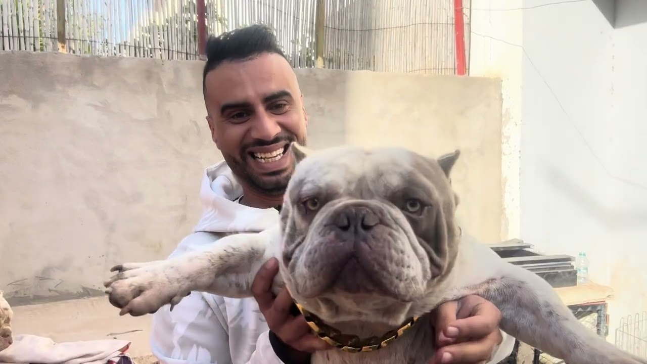 أغلى و أندر كلاب بالعالم 😱  أكتر من 100 مليون