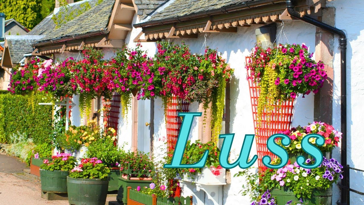 Discover Luss: A Must-Visit Scottish Gem | Ultimate Travel Guide & Top Attractions