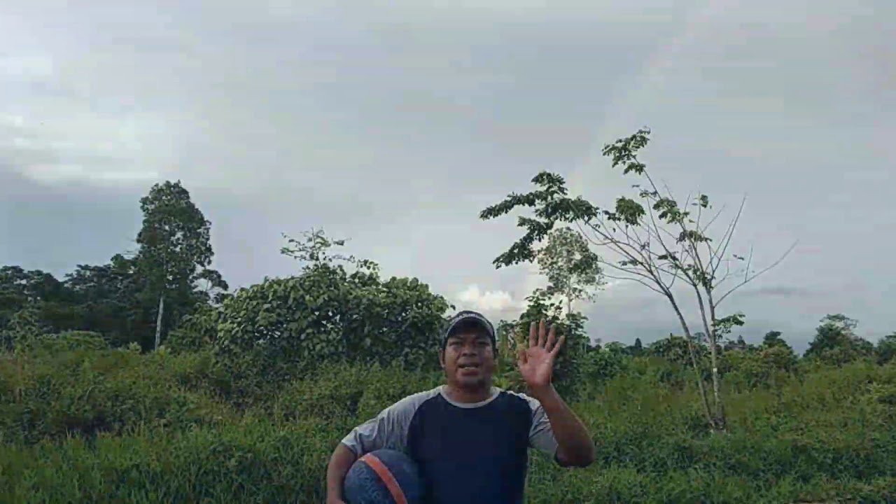 Mendribel Bola
