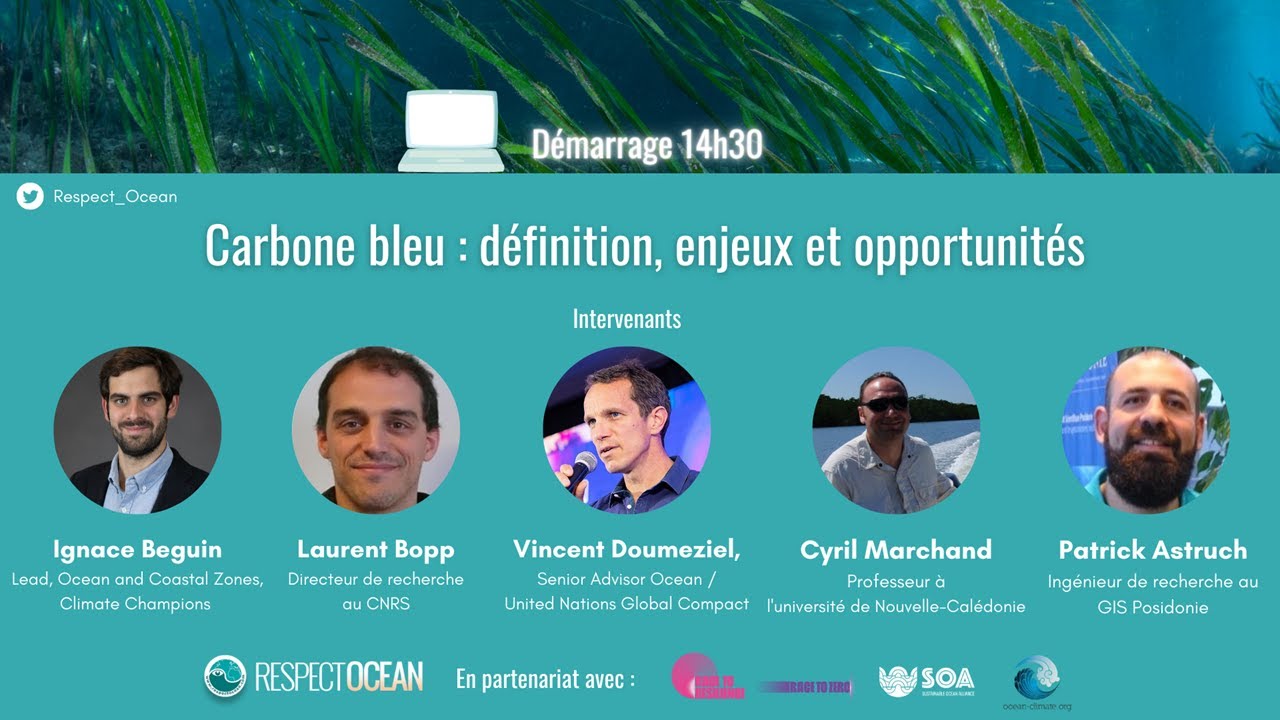 Webinaire - Carbone bleu (1) : définition, enjeux et opportunités