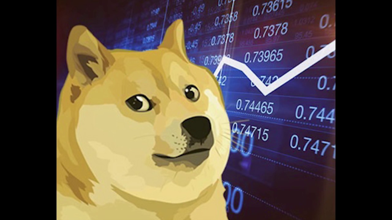 Как создать Dogecoin кошелёк