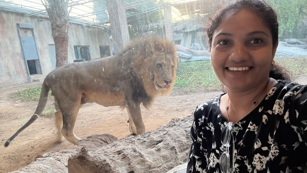 Emirates zoo park // Abhudabi// uae 
