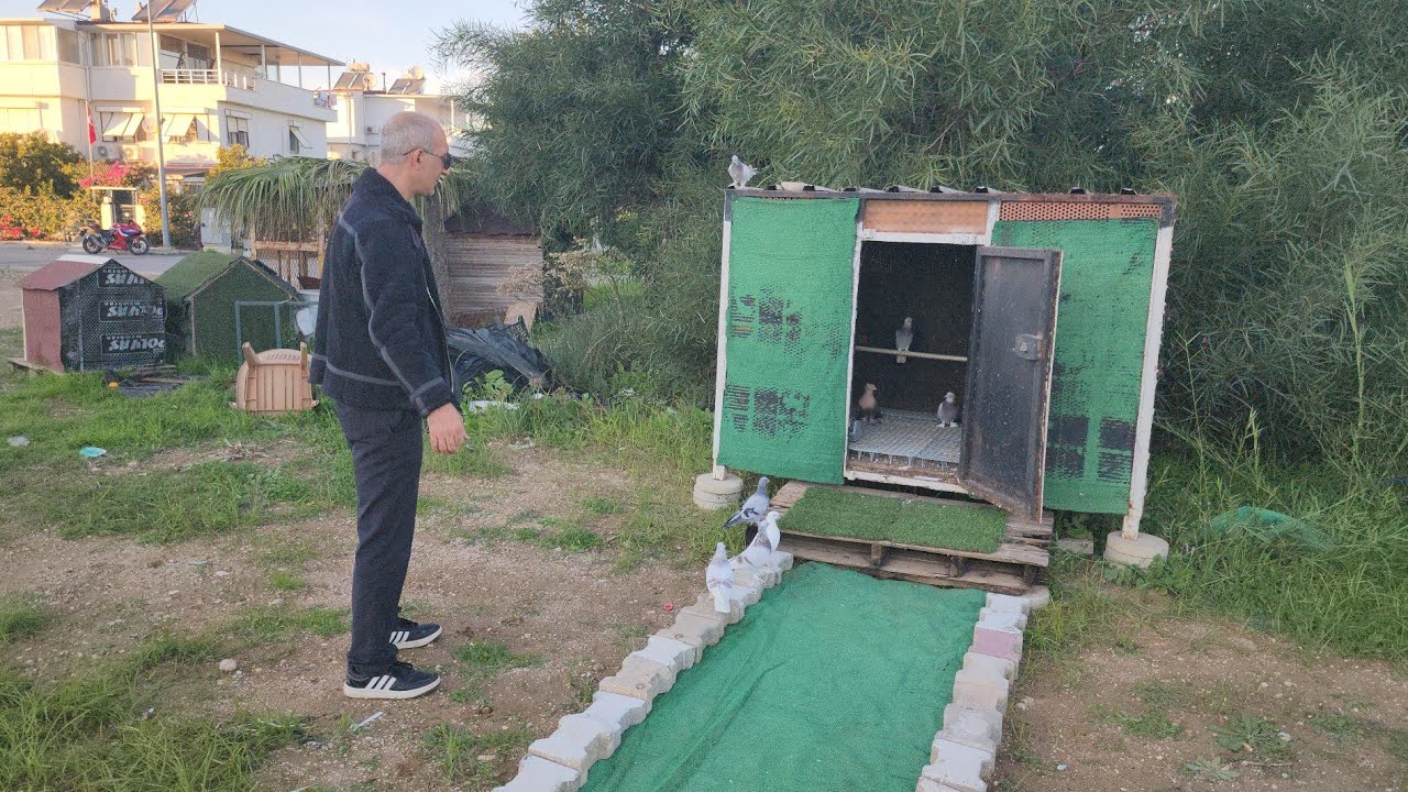 U&ccedil;um K&uuml;mesini Yeni Yerine Aldık Reisle U&ccedil;uma Devammm
