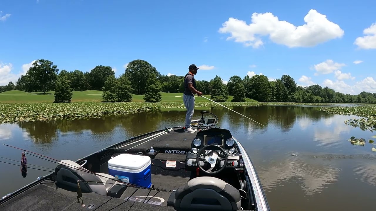 Cooters Pond