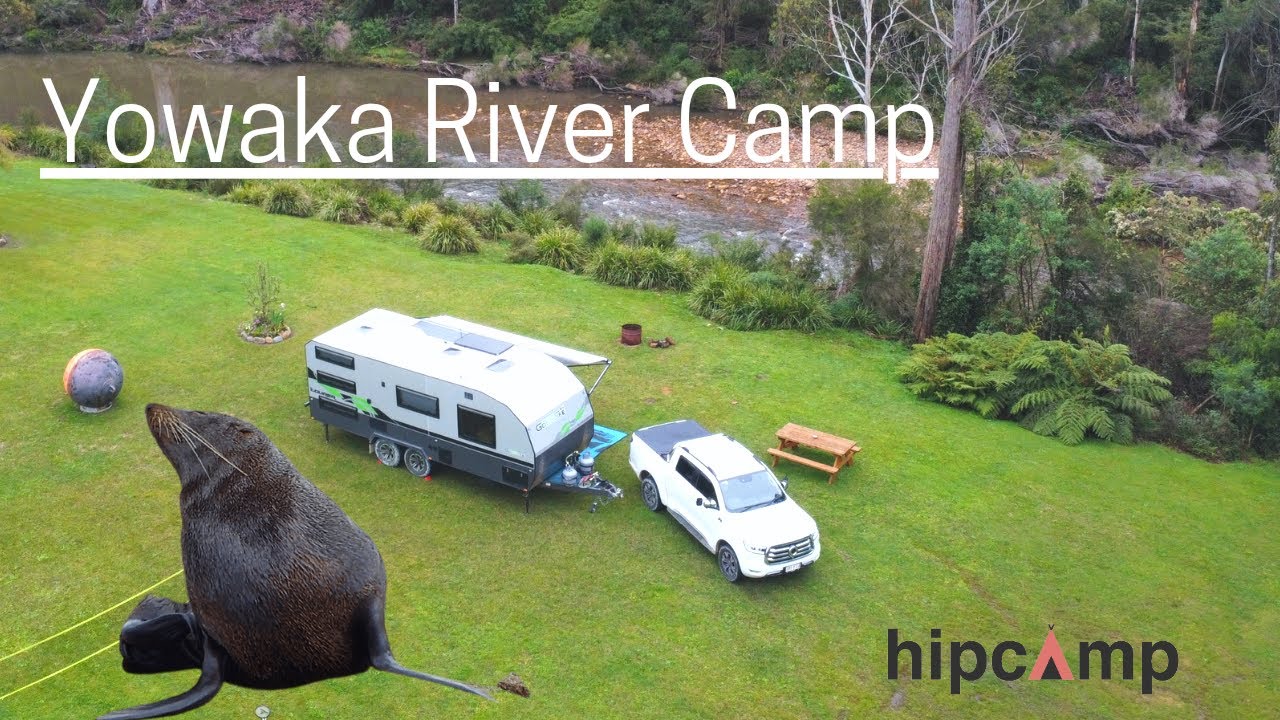 EP 8 - Pambula - The Best Hipcamp - Yowaka River Camp