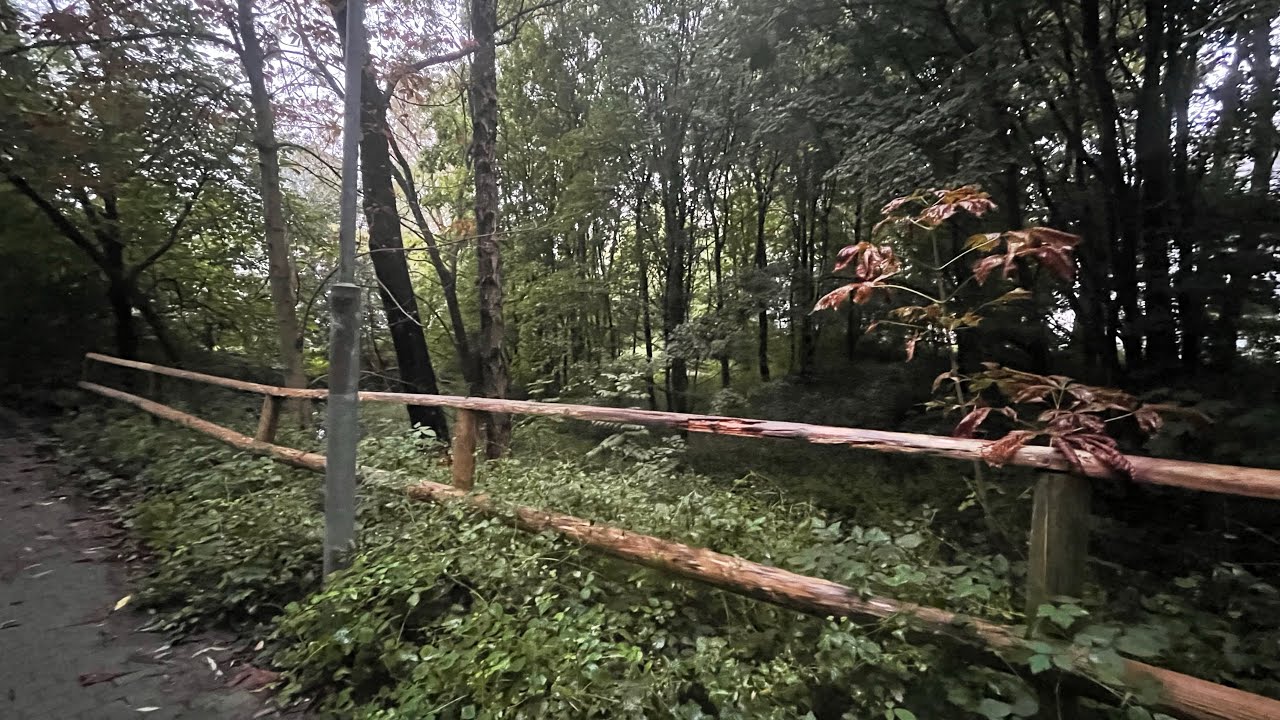 Jump im Wald Bauen #fyp #wald #mtb - Downhill
