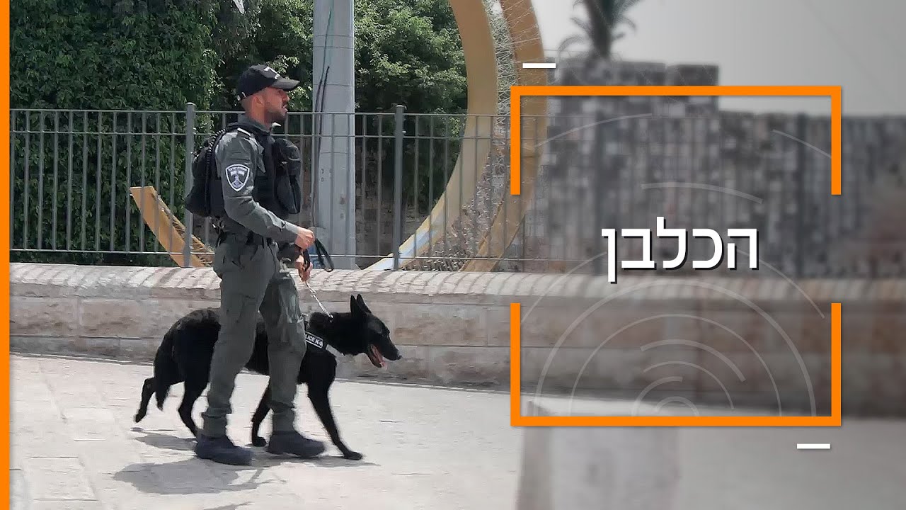 ״הכלבים פה מנעו מאות אלפי פיגועים״ | דוקותיים