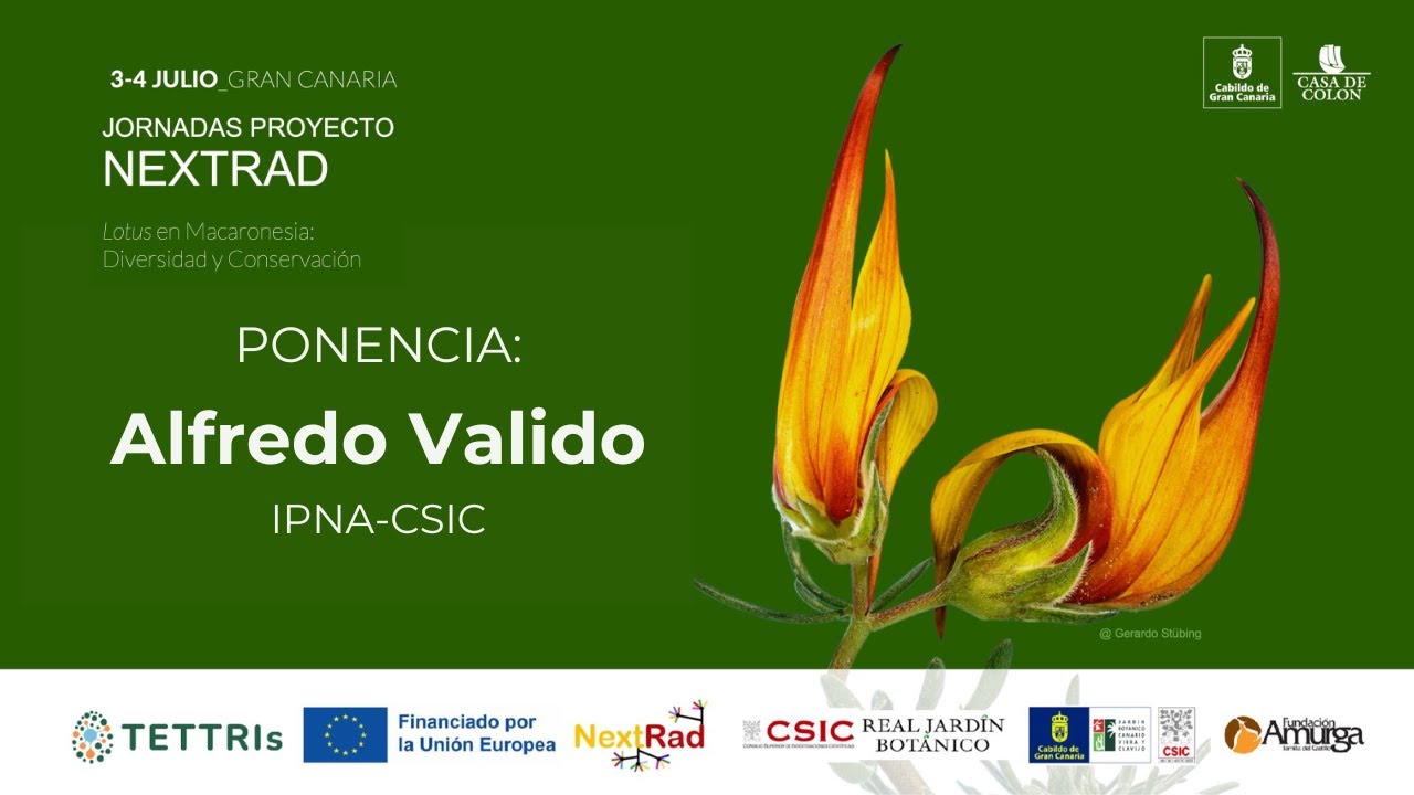 Ponencia: Alfredo Valido. Jornadas NEXTRAD 4 de julio de 2025, Gran Canaria