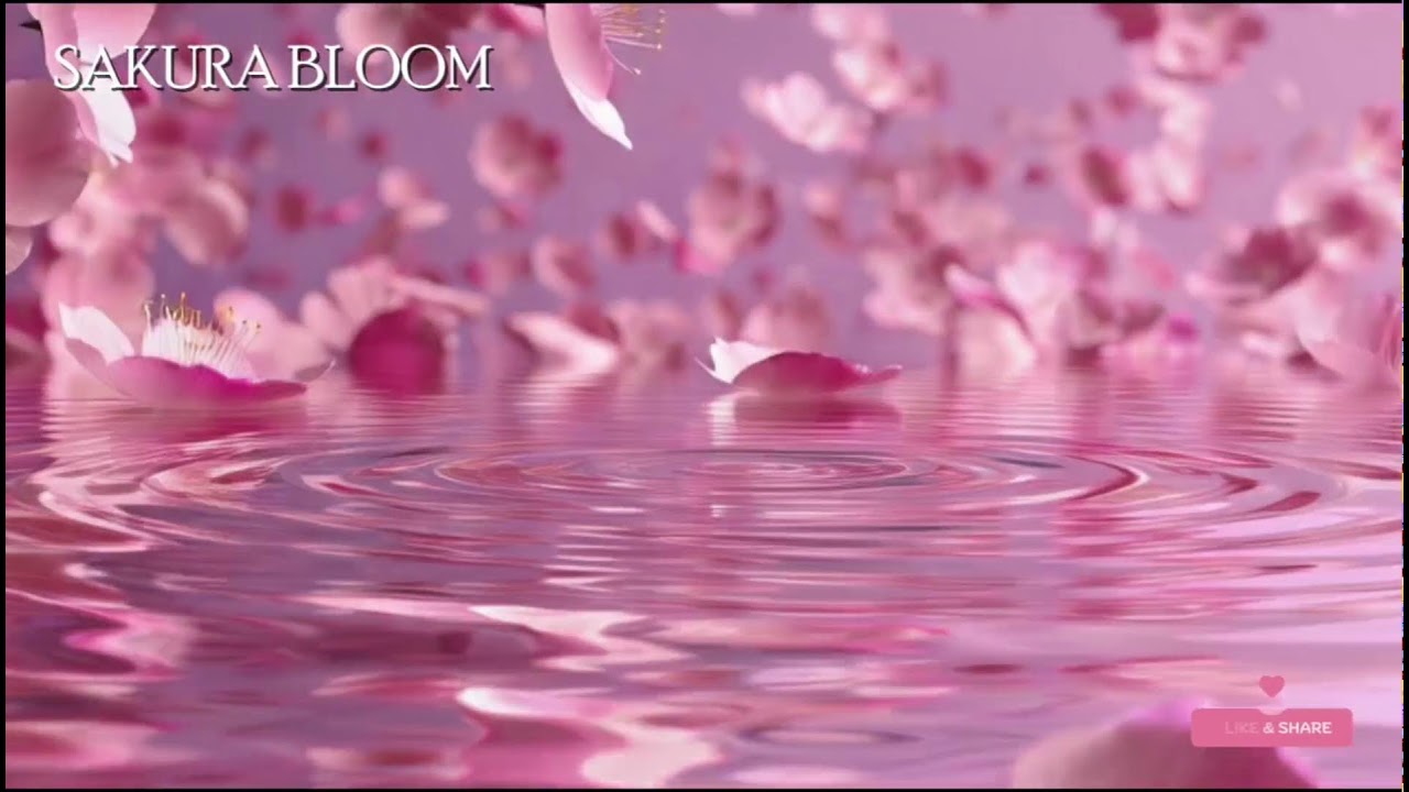 🔴 桜の調べ – 日本庭園の水音と風鈴の癒し | 心を落ち着ける音楽👉 Zen garden + wind chimes vibes.