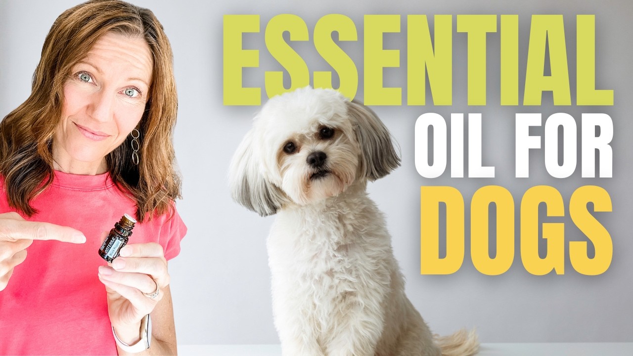 🐶 Are Essential Oils Safe for Dogs? Find Out Here!