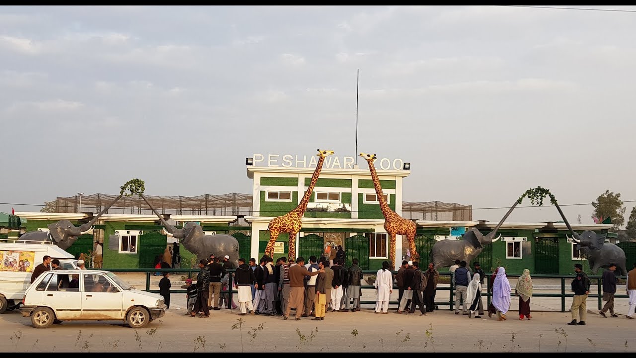 Peshawar Zoo Latest update - Palosai Road, Rahatabad Peshawar KPK - Imran Khan Promise