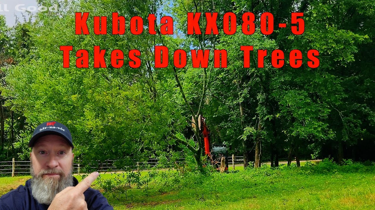 Taking Out Trees and Stumps with Kubota KX080-5  @Uncle Tim's Farm @Kubota Tractor Corporation