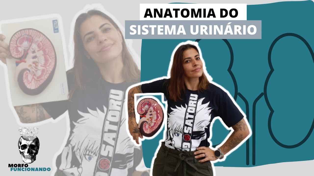 ANATOMIA DO SISTEMA URINÁRIO