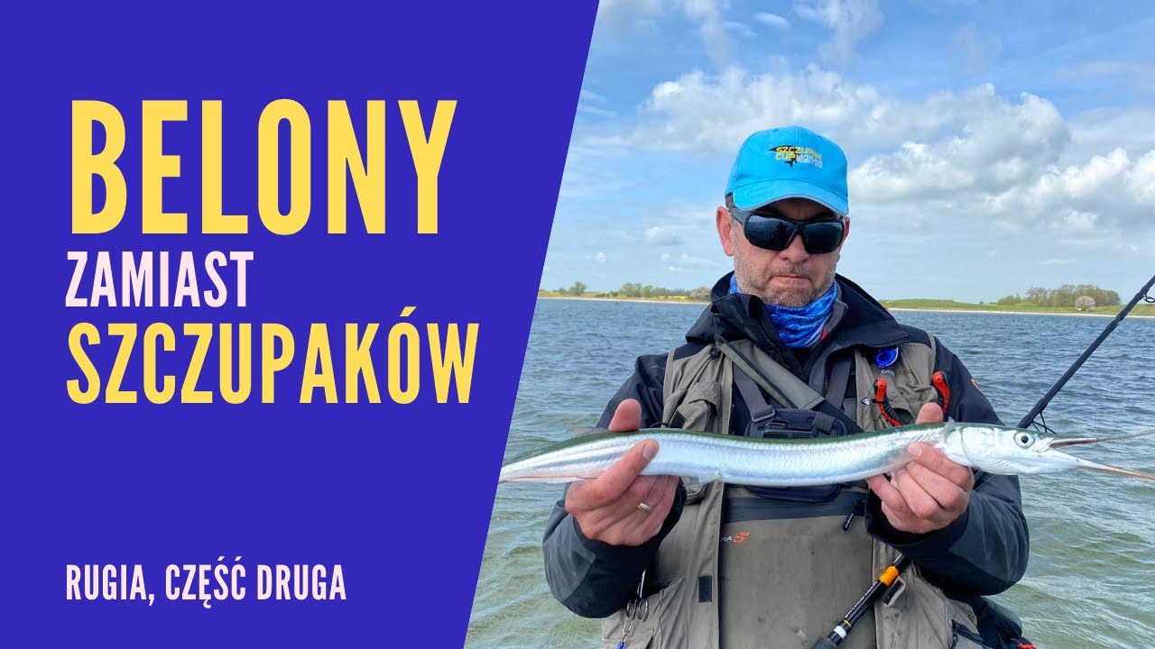 Belony zjadły szczupaki! Drugi dzień łowienia ryb na Rugii.