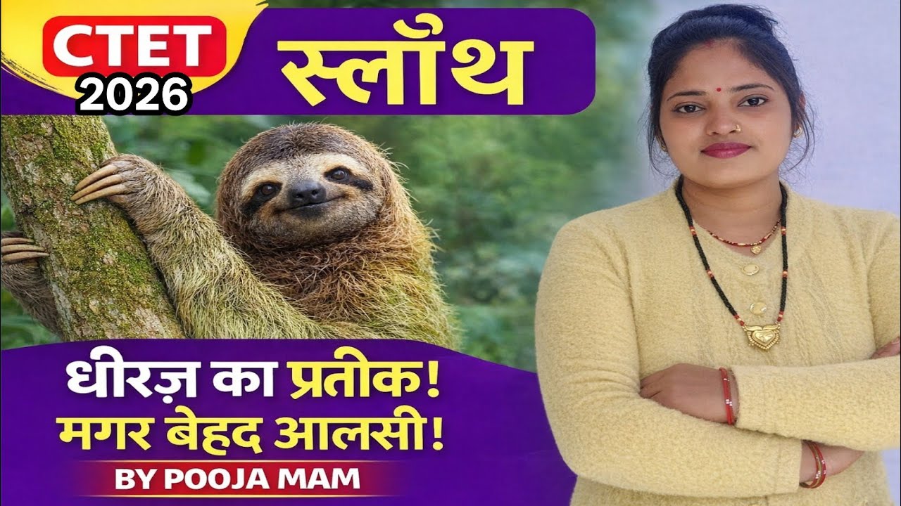स्लॉथ | CTET Best trick | sloth 🦥 by Pooja mam 