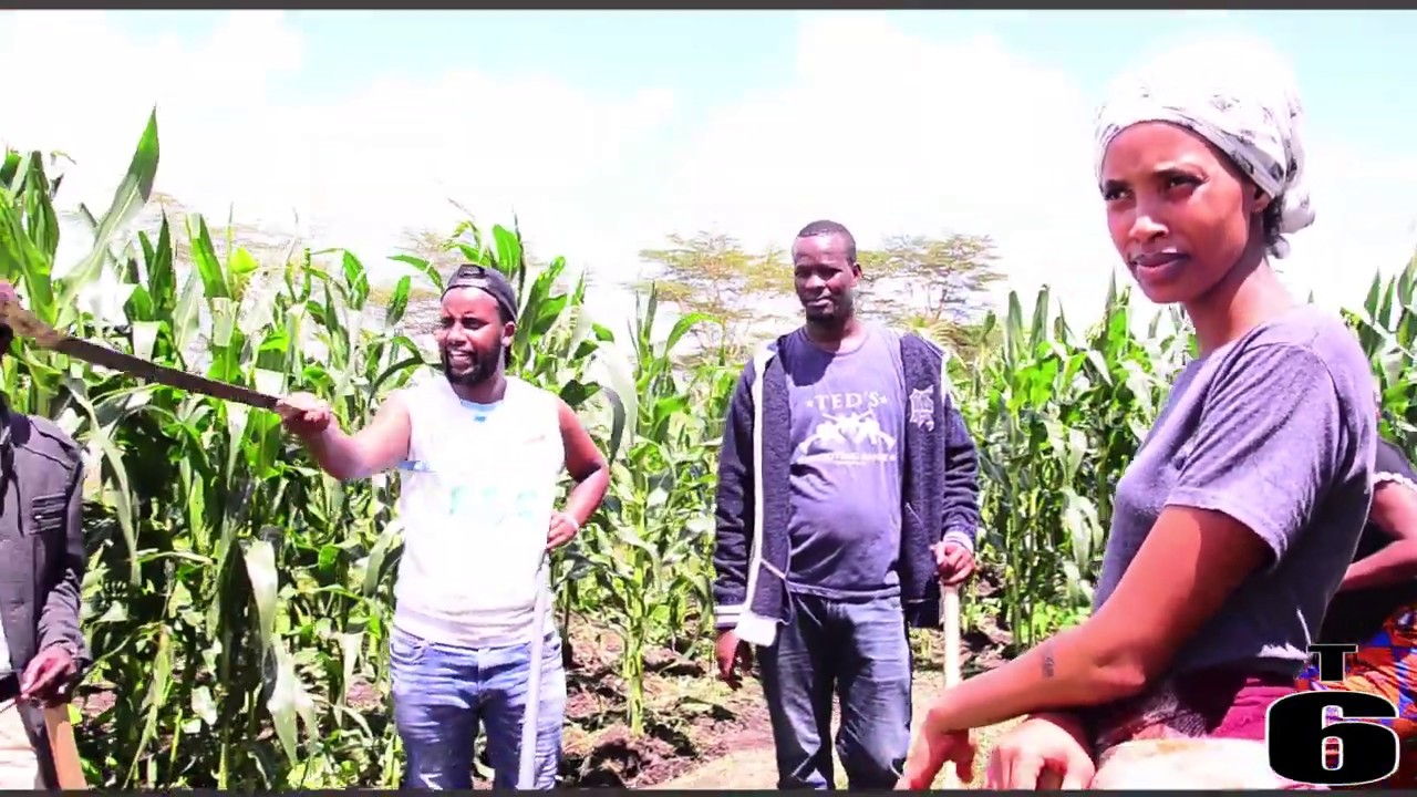 NUMVIRA IZOMBUNDA . UREBE UKO INTAMARA IRI IWACYU  ITEYE. UMVA IBIHAGARITSE UBWOKO IMITIMA.