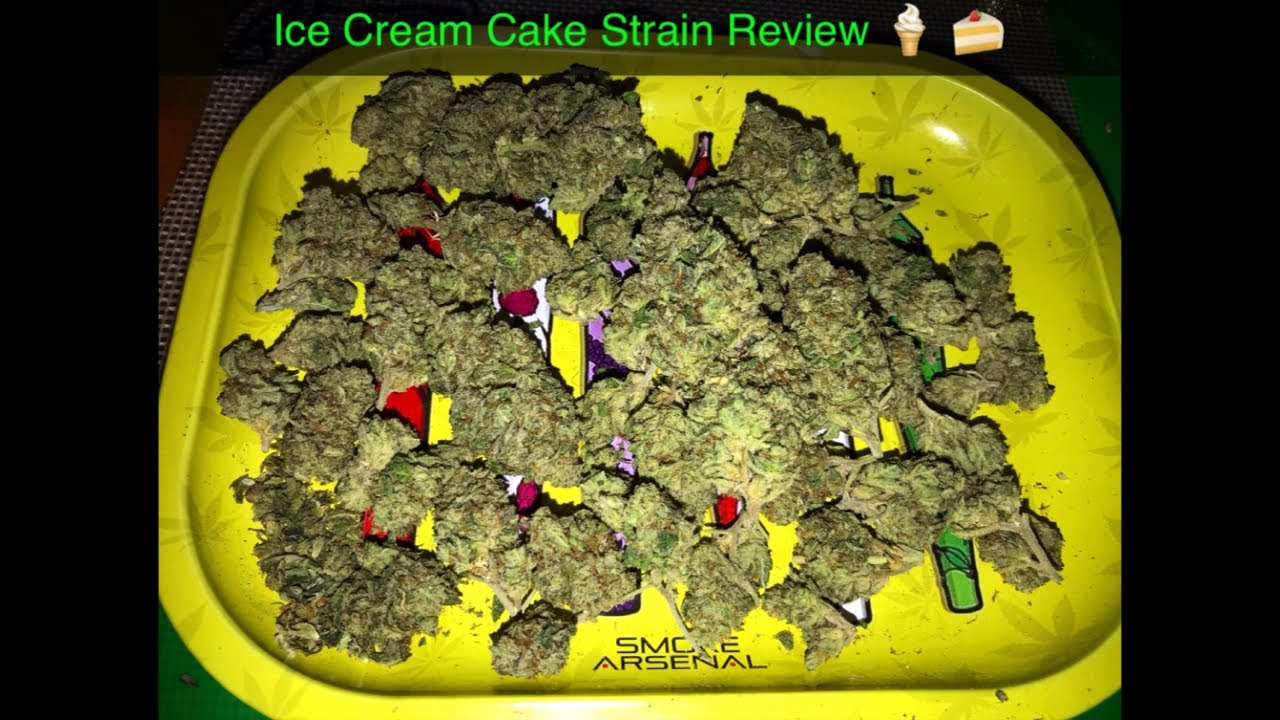 Ice Cream Cake Strain Review 🍦🍰