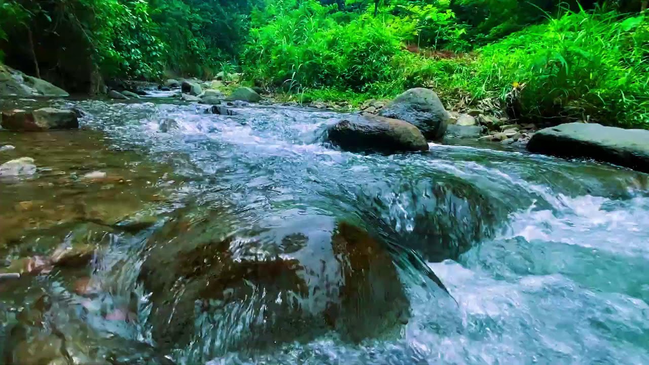 СИЛЬНЕЕ ЛЮБОГО СНОТВОРНОГО 💦 Кристально чистая тропическая река
