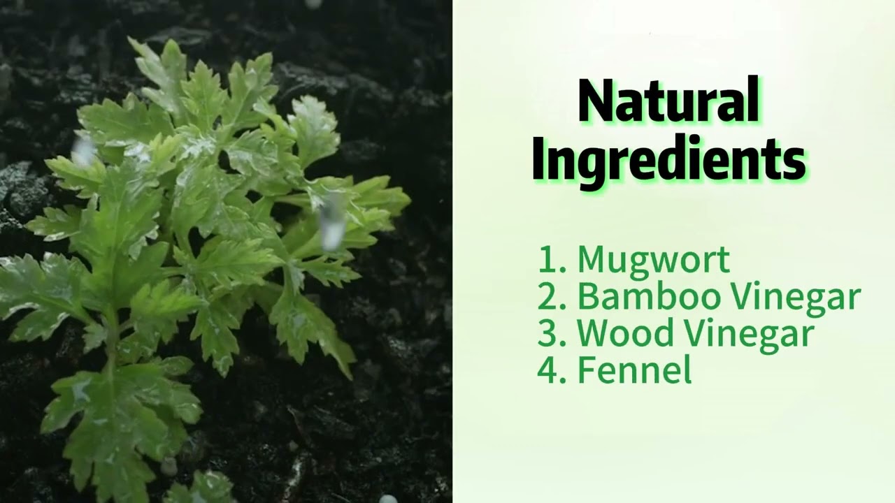 Deep Cleansing Foot Pads, Premium Foot Pads, Natural Bamboo & Mugwort Foot Patches