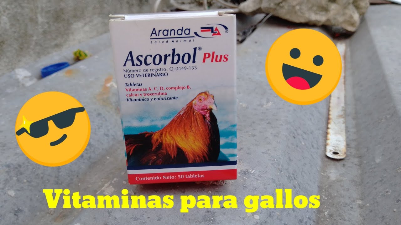 🔥Vitaminas 💎ASCORBOL plus💎 criadero Martin 🔥