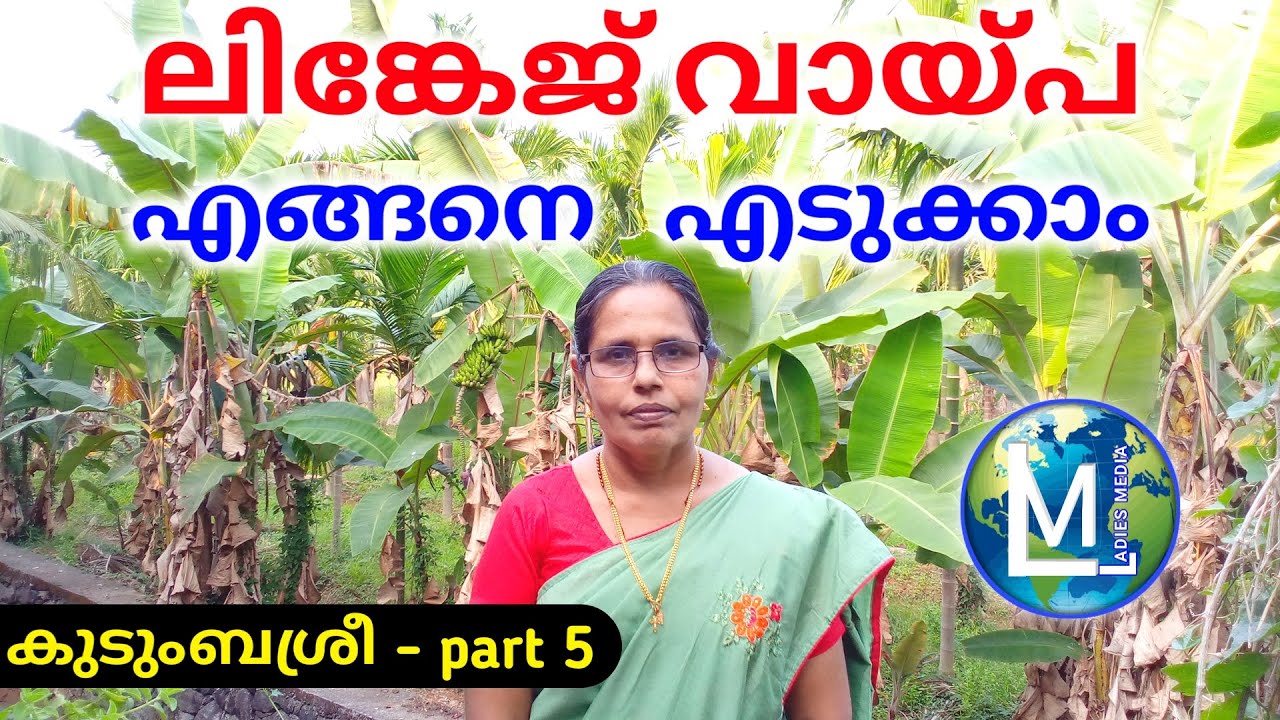ലിങ്കേജ് വായ്പ എങ്ങനെ എടുക്കാം | How to get a linkage loan | Sophiya CT | Kudumbasree | Ladies Media