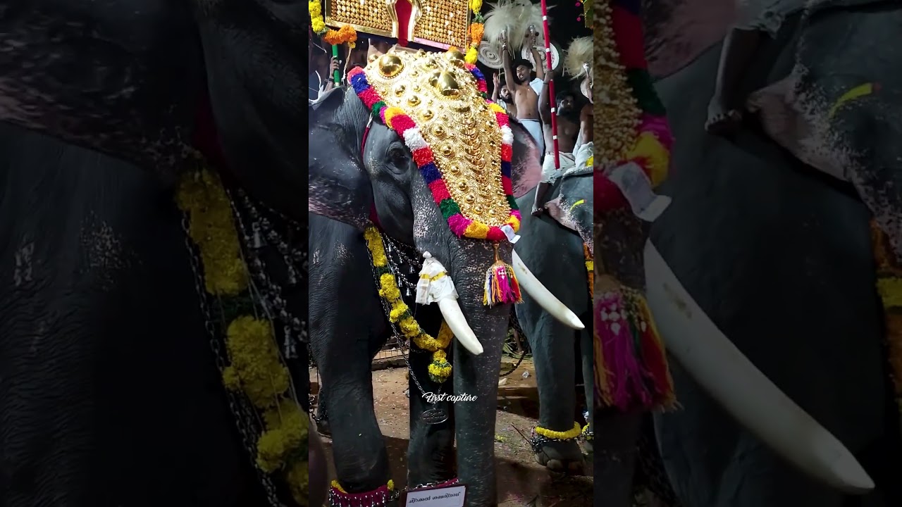 Shabarinath