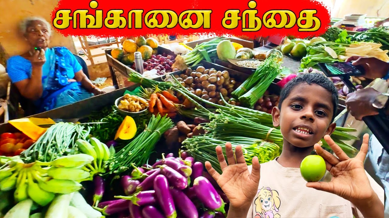 🇱🇰 😥 4000 ரூபாவுக்கு 1 கிலோ இஞ்சி! விலை ஏறிய மரக்கறிகள்! அப்பாவின் தோட்டம் | JAFFNA Tamil  Vlog