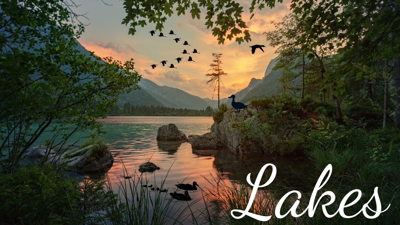 Lakes | Nature Relaxation Peaceful Music |The Strings of Nature