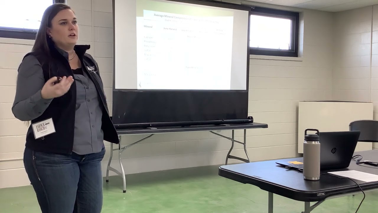 Understanding Mineral Requirements for Grazing Cattle