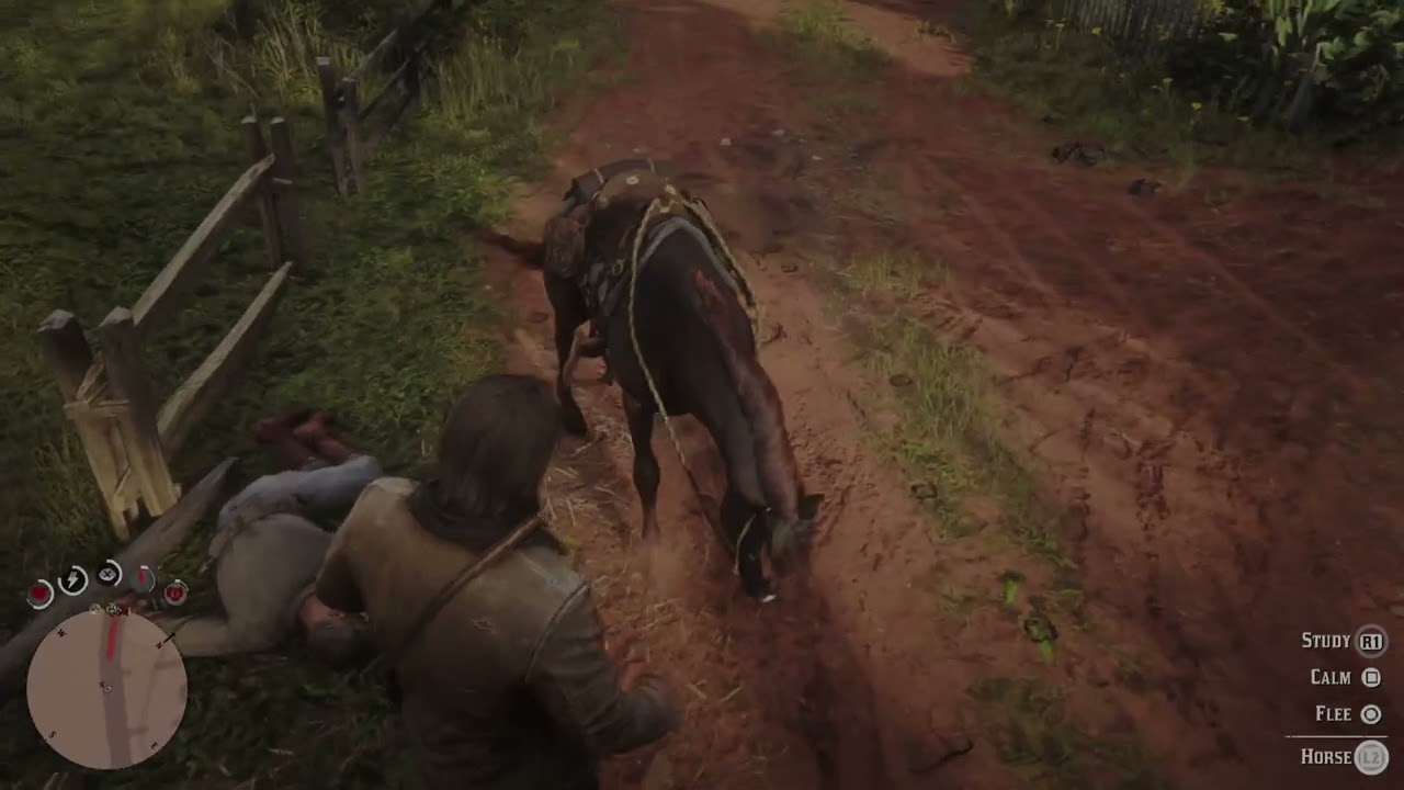 Playing Red Dead. Redemption 2.