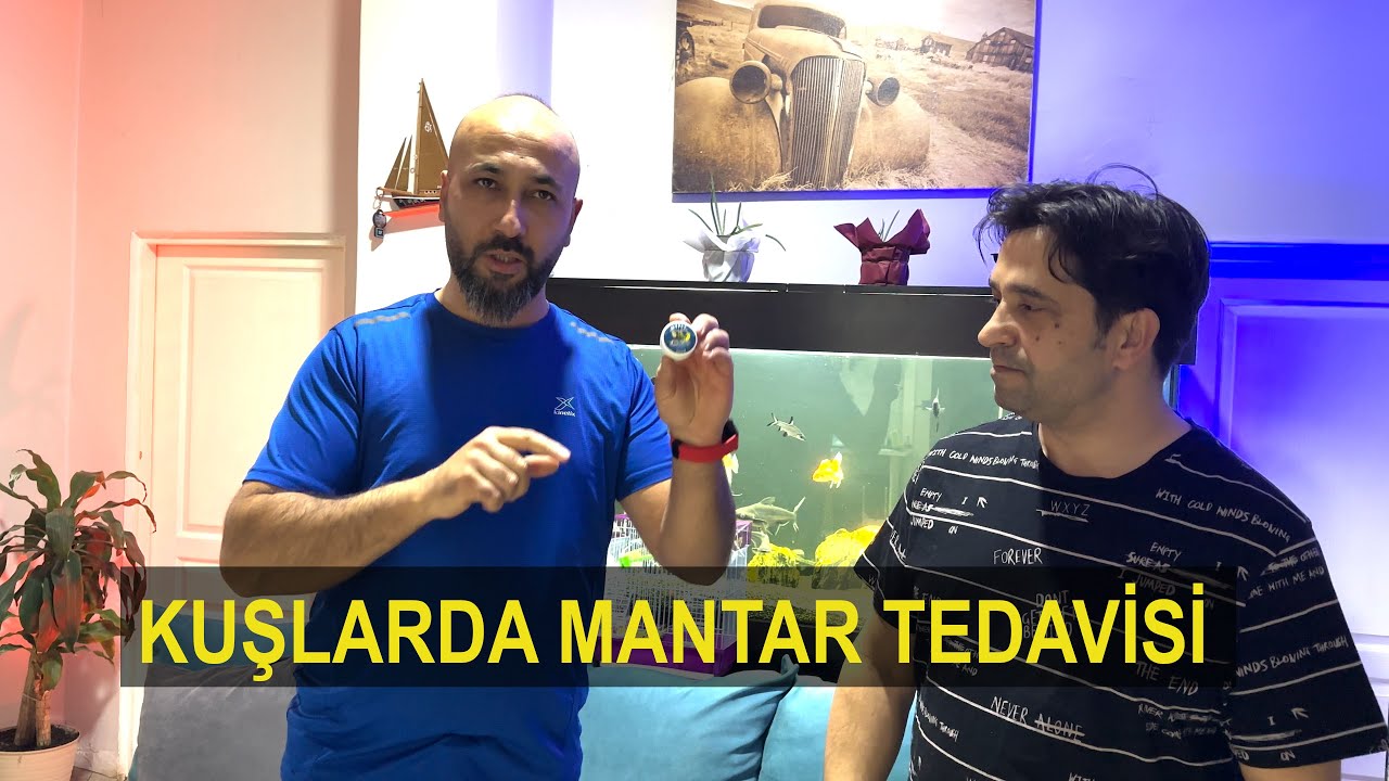 Kuşlarda Mantar Tedavisi Nasıl Yapılır