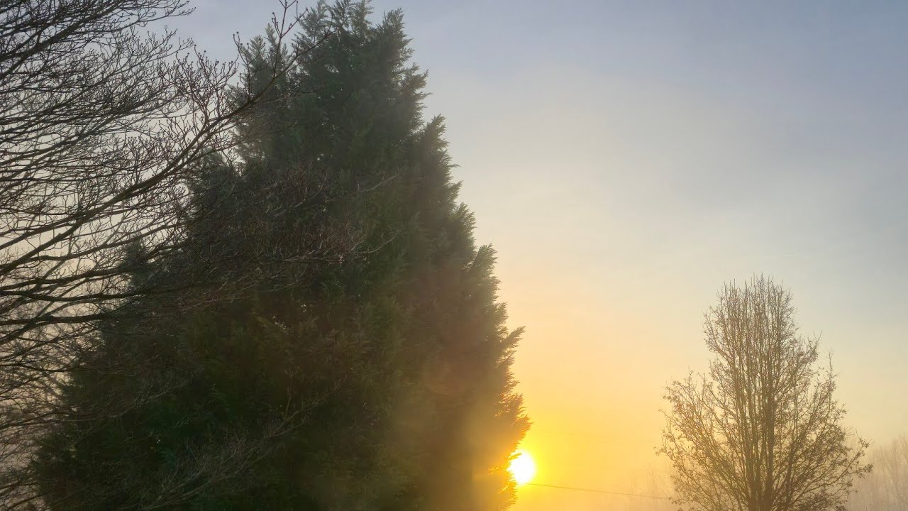 Jim's Camera at dawn is live! 