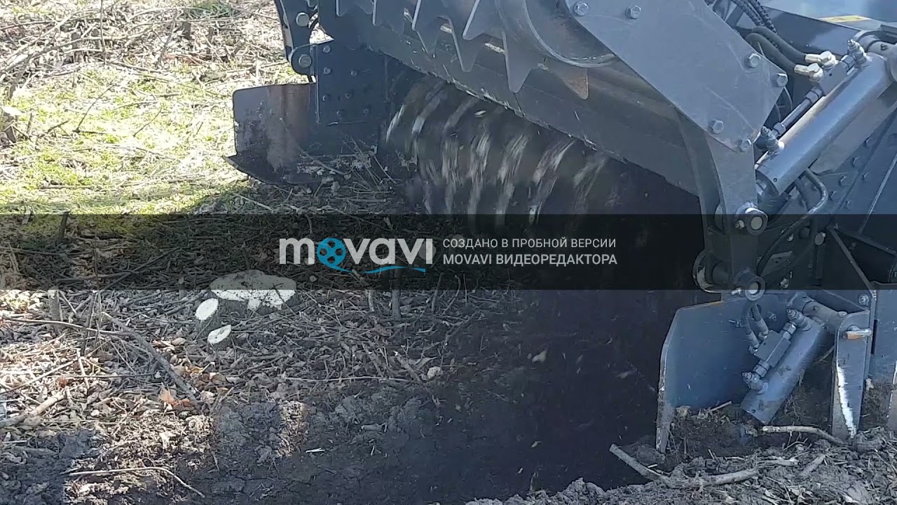 Роботи по розлісненню Valentini Demonio 2300