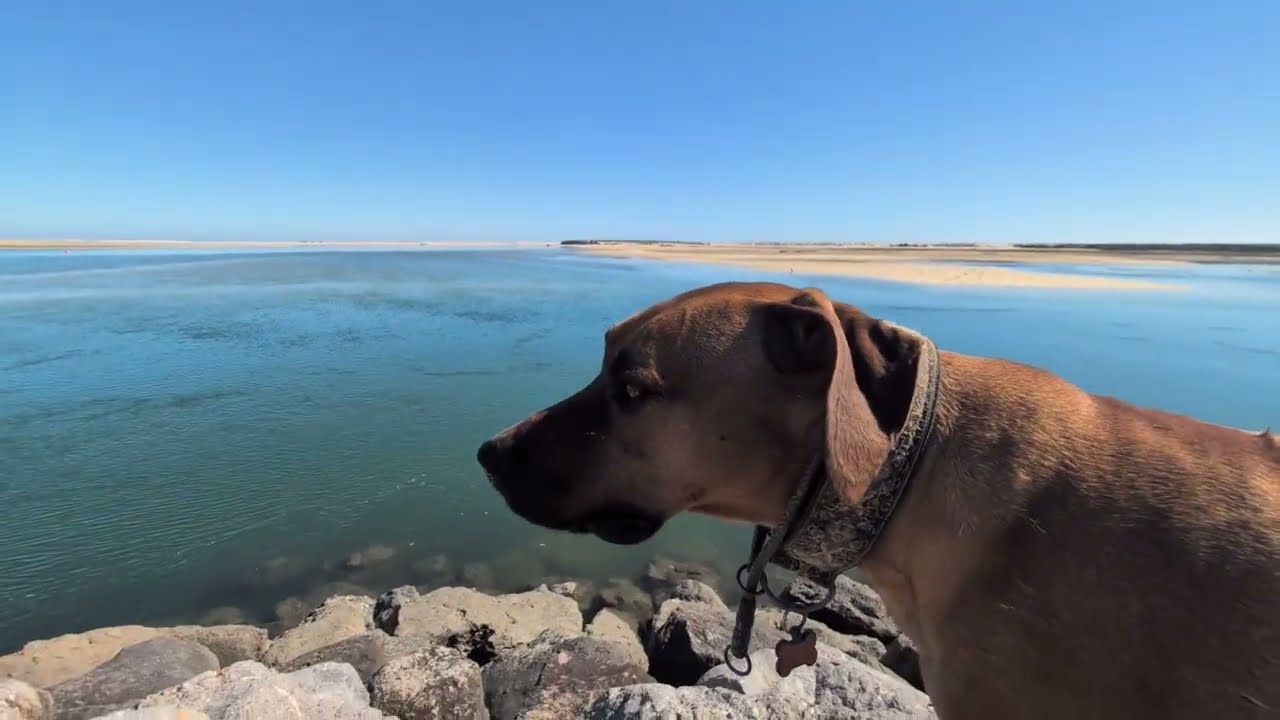 Viel Wind, Viel Wasser und andere Katastrophen,  Portugal