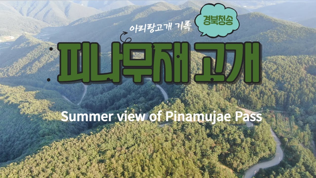 [Drone View] 경북청송 피나무재고개 여름풍경 드론영상 기록 1080FHD [summer view record of pinamujae Pass by Mavic2 Drone]