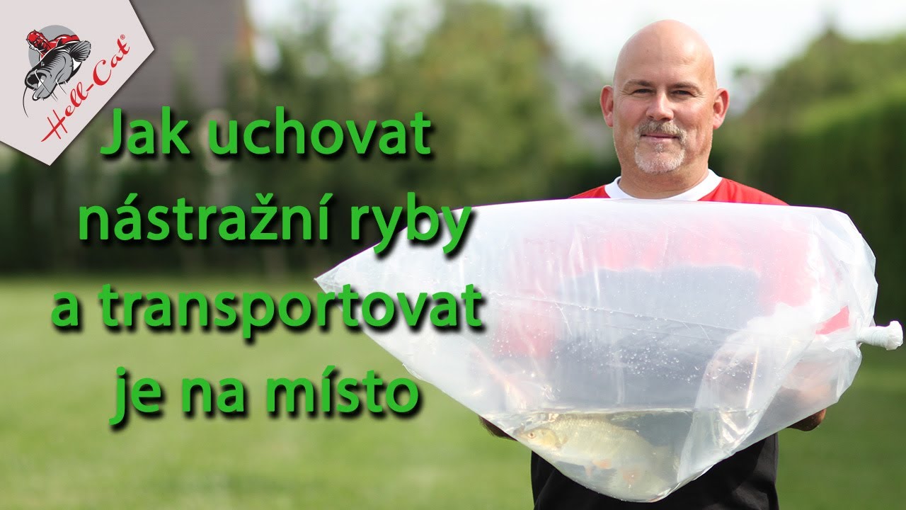 2020 / Roman Matula / Jak uchovat nástražní ryby a transportovat je na místo.